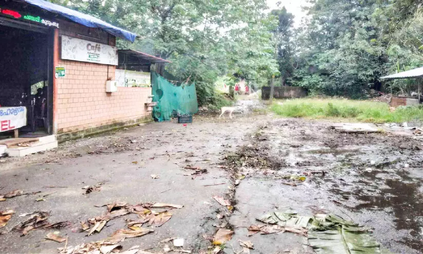 എന്തൊരു മാലിന്യമാണ് ഈ പന്തളത്ത് എന്തൊരു മാലിന്യമാണ് ഈ പന്തളത്ത്
