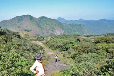 അഗസ്ത്യാർകൂടം യാത്രയുടെ 28 ലക്ഷം രൂപ സർക്കാരിലേക്ക് അടയ്ക്കണമെന്ന് റിപ്പോർട്ട് അഗസ്ത്യാർകൂടം യാത്രയുടെ 28 ലക്ഷം രൂപ സർക്കാരിലേക്ക് അടയ്ക്കണമെന്ന് റിപ്പോർട്ട്