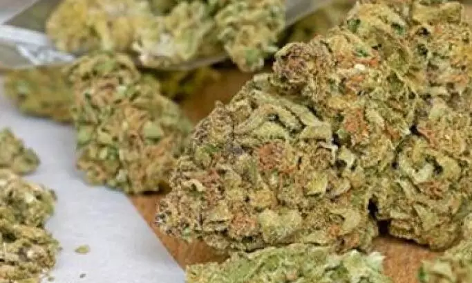 1.650 കിലോ ഗ്രാം കഞ്ചാവുമായി യുവാവ് പിടിയിൽ 1.650 കിലോ ഗ്രാം കഞ്ചാവുമായി യുവാവ് പിടിയിൽ