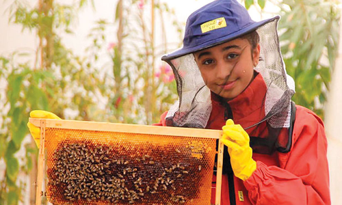 മ​ഹ്റ ഹ​മ​ദ് അ​ല്‍ ന​ഖ്ബി;  തേ​നീ​ച്ച​ക​ളെ വ​ള​ര്‍ത്തു​ന്ന   പ​ത്തു വ​യ​സ്സു​കാ​രി