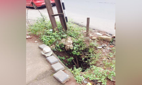 യുവതി റോഡരികിലെ കുഴിയിൽ വീണു