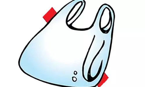 പ്ലാസ്റ്റിക് പരിശോധന; ഒറ്റദിവസം ഏഴുലക്ഷം പിഴ ഈടാക്കി