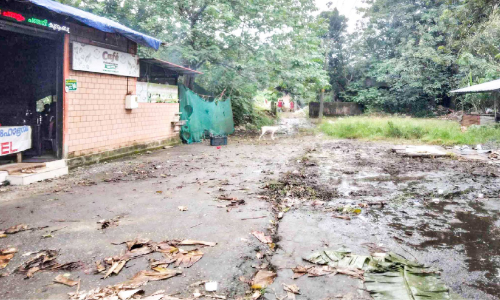 എന്തൊരു മാലിന്യമാണ് ഈ പന്തളത്ത് എന്തൊരു മാലിന്യമാണ് ഈ പന്തളത്ത്