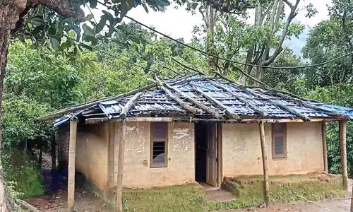 പഠനം വഴിമുട്ടി പുതൂർ കടുകുമണ്ണ ആദിവാസി ഊരിലെ അംഗൻവാടി വിദ്യാർഥികൾ