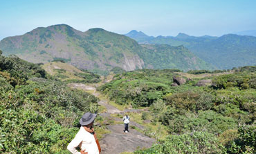 അഗസ്ത്യാർകൂടം യാത്രയുടെ 28 ലക്ഷം രൂപ സർക്കാരിലേക്ക് അടയ്ക്കണമെന്ന് റിപ്പോർട്ട്