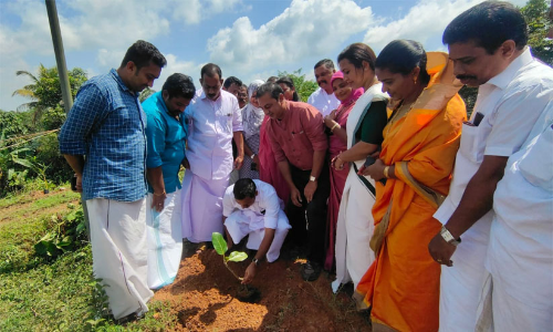മൂവാറ്റുപുഴ കുര്യൻ മലയിൽ ജൈവ ഔഷധ സസ്യ ഉദ്യാനം ഒരുങ്ങുന്നു മൂവാറ്റുപുഴ കുര്യൻ മലയിൽ ജൈവ ഔഷധ സസ്യ ഉദ്യാനം ഒരുങ്ങുന്നു