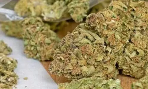 1.650 കിലോ ഗ്രാം കഞ്ചാവുമായി യുവാവ് പിടിയിൽ