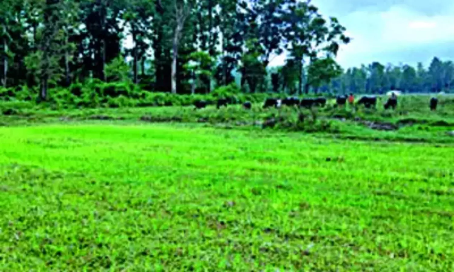 ബഫര്‍സോണ്‍: ഉപഗ്രഹസർവേക്കു പുറമേ നേരിട്ടുള്ള പരിശോധനയും നടത്തും