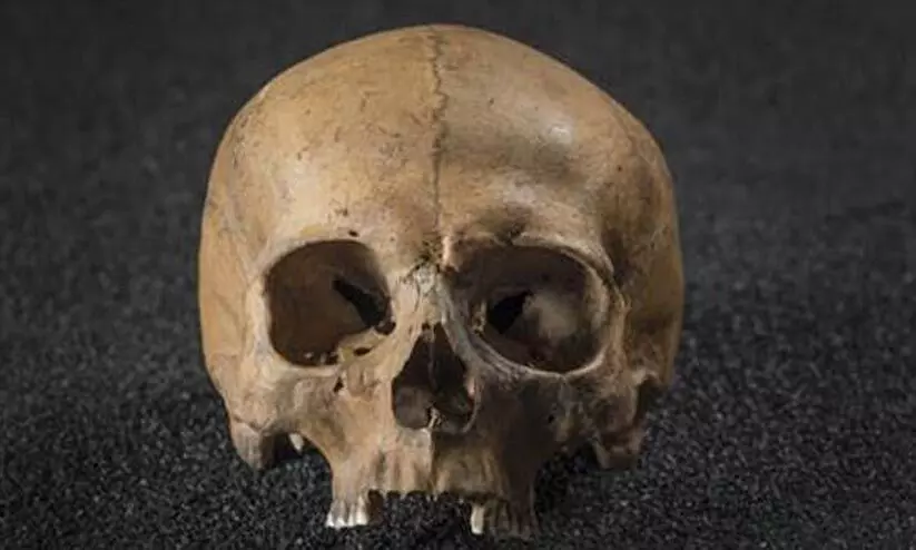 റോഡിൽനിന്ന് തലയോട്ടികൾ കണ്ടെത്തി റോഡിൽനിന്ന് തലയോട്ടികൾ കണ്ടെത്തി