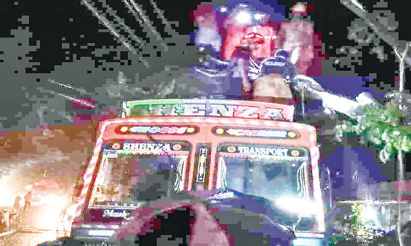 ചെർപ്പുളശ്ശേരിയിൽ ലോറിക്ക് മുകളിൽ മരം വീണു