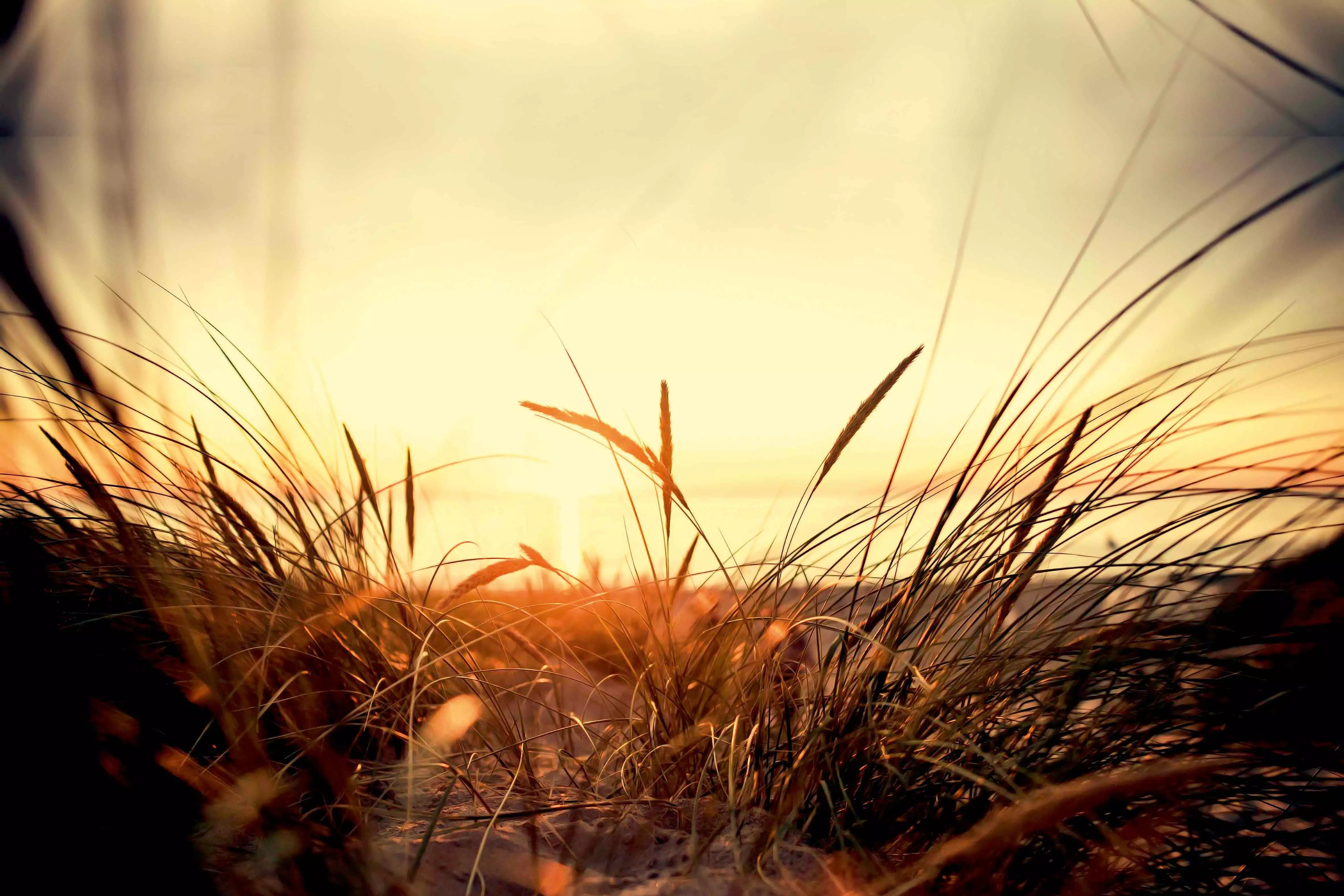 തത്ത്വചിന്തകനും തൊണ്ടമുഴയും തത്ത്വചിന്തകനും തൊണ്ടമുഴയും