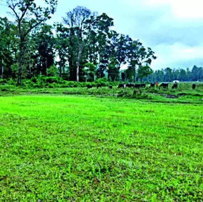 ബഫര്സോണ്: ഉപഗ്രഹസർവേക്കു പുറമേ നേരിട്ടുള്ള പരിശോധനയും നടത്തും ബഫര്സോണ്: ഉപഗ്രഹസർവേക്കു പുറമേ നേരിട്ടുള്ള പരിശോധനയും നടത്തും