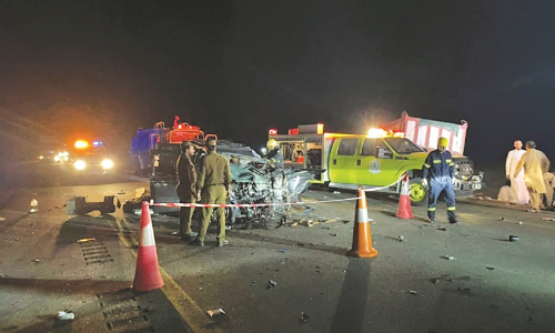 വാഹനം ഒട്ടകത്തെയിടിച്ച് രണ്ടു മരണം