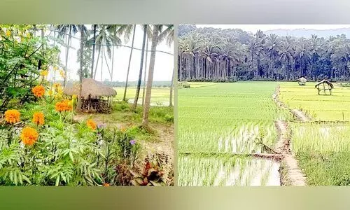 സ്​ട്രീറ്റ് ടൂറിസത്തിന് ചേകാടി ഒരുങ്ങി