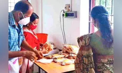 മലപ്പട്ടത്ത് മഞ്ഞൾ വസന്തം