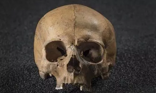 റോഡിൽനിന്ന് തലയോട്ടികൾ കണ്ടെത്തി