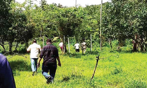 മോഷണക്കേസ് അന്വേഷണത്തിനിടെ പൊലീസ് നായ കണ്ടെത്തിയത് വാറ്റുകേന്ദ്രം