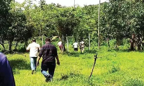 മോഷണക്കേസ് അന്വേഷണത്തിനിടെ പൊലീസ് നായ കണ്ടെത്തിയത് വാറ്റുകേന്ദ്രം