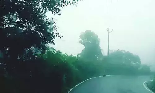 കാലവര്‍ഷം: തൊടുപുഴ പുളിയൻമല റോഡിൽ രാത്രികാല യാത്ര നിരോധിച്ചു