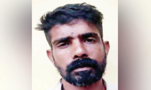 വീട്ടമ്മയെ ആക്രമിച്ച കേസിൽ പ്രതി പിടിയിൽ