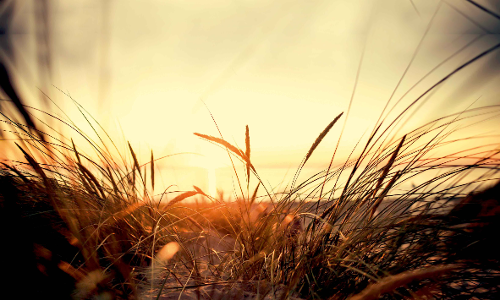 തത്ത്വചിന്തകനും തൊണ്ടമുഴയും