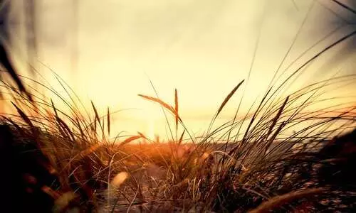 തത്ത്വചിന്തകനും തൊണ്ടമുഴയും തത്ത്വചിന്തകനും തൊണ്ടമുഴയും