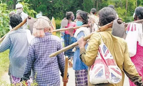 തൊഴിലുറപ്പ് തൊഴിലാളികൾക്ക് ഉൽസവബത്ത 1000 രൂപ