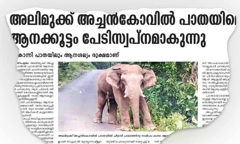 നാട്ടുകാരുടെ പരാതി അധികൃതർ ചെവിക്കൊണ്ടില്ല; കാട്ടാന ആക്രമണത്തിൽ ഒരു ജീവൻ കൂടി പൊലിഞ്ഞു നാട്ടുകാരുടെ പരാതി അധികൃതർ ചെവിക്കൊണ്ടില്ല; കാട്ടാന ആക്രമണത്തിൽ ഒരു ജീവൻ കൂടി പൊലിഞ്ഞു