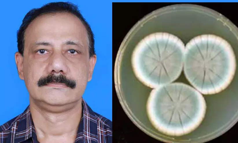 കേടായ പഴങ്ങളില് നിന്ന് പെന്സിലിൻ; കാലിക്കറ്റിലെ അധ്യാപകന് പേറ്റന്റ് കേടായ പഴങ്ങളില് നിന്ന് പെന്സിലിൻ; കാലിക്കറ്റിലെ അധ്യാപകന് പേറ്റന്റ്