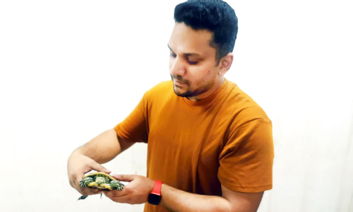 പ്ര​വാ​സി​യു​ടെ വീ​ട്ടി​ൽ അ​രു​മ​കളാ​യി ടു​സ്കി​യും ട്രി​സ്കി​യും