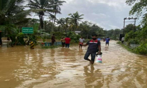 മലവെള്ളപ്പാച്ചിൽ: നെടുംകുന്നത്ത് കനത്ത നാശം