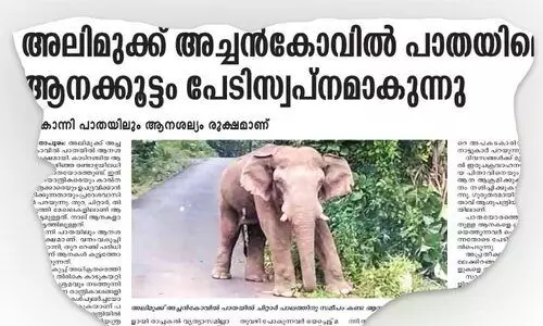 നാട്ടുകാരുടെ പരാതി അധികൃതർ ചെവിക്കൊണ്ടില്ല; കാട്ടാന ആക്രമണത്തിൽ ഒരു ജീവൻ കൂടി പൊലിഞ്ഞു