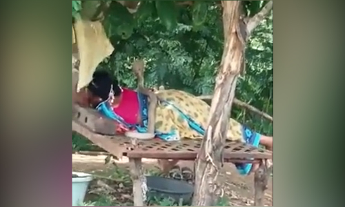 സ്ത്രീയുടെ ശരീരത്തിൽ പത്തി വിടർത്തി പാമ്പ്; വിഡിയോ വൈറൽ