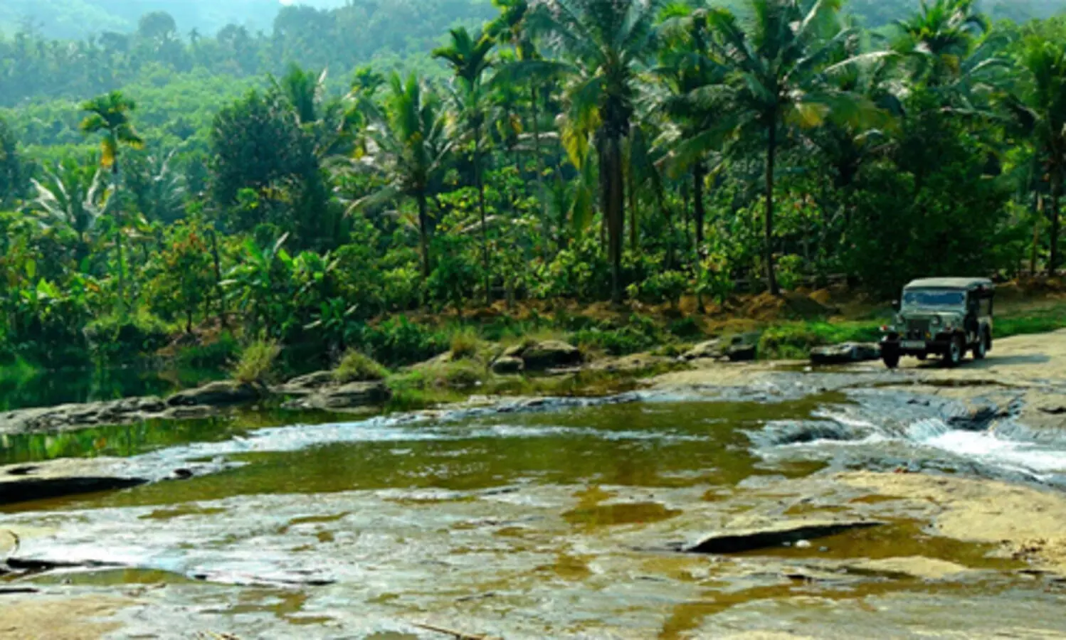 മാങ്കുളം മിച്ചഭൂമി സർവേ ചെയ്യാൻ സംയുക്ത സമിതി രൂപീകരിച്ച് ഉത്തരവ്