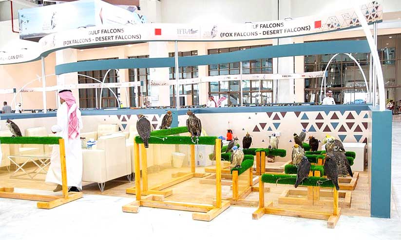 ഫാൽക്കൺ മേള: രണ്ട് ഫാൽക്കണുകളെ ലേലത്തിൽ വിറ്റത് 71,000 റിയാലിന് ഫാൽക്കൺ മേള: രണ്ട് ഫാൽക്കണുകളെ ലേലത്തിൽ വിറ്റത് 71,000 റിയാലിന്