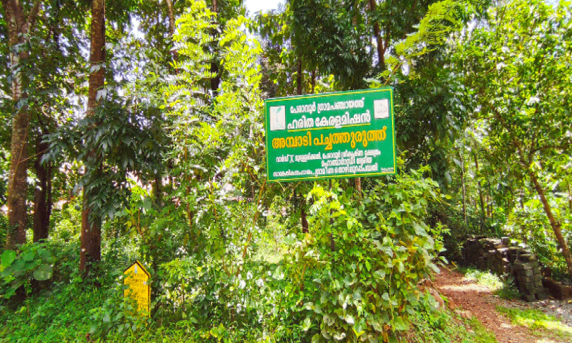 പച്ചപ്പുവിരിച്ച് 125 ചെറുവനങ്ങൾ