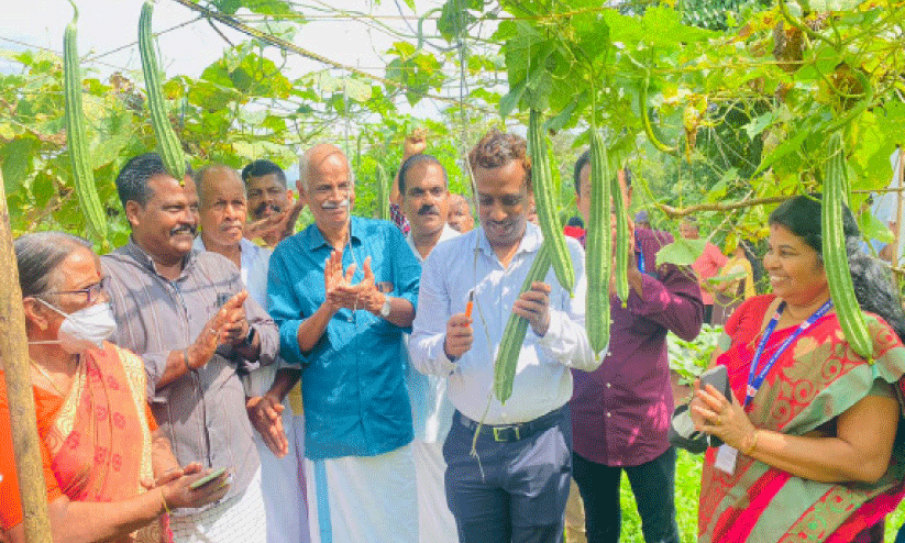 വിഷരഹിത പച്ചക്കറിയുമായി മാങ്ങാട്ടിടം സുലഭ