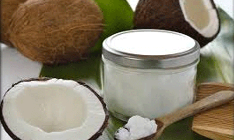 കെ.സി.സി.പി.എൽ വൈവിധ്യവത്കരണം രണ്ടാംഘട്ടത്തിന് തുടക്കം കെ.സി.സി.പി.എൽ വൈവിധ്യവത്കരണം രണ്ടാംഘട്ടത്തിന് തുടക്കം