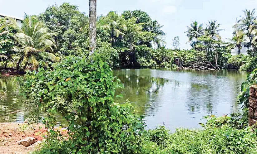 അപകടഭീഷണിയിലും അസൗകര്യങ്ങളിലും വീർപ്പുമുട്ടി തിരൂരങ്ങാടി ഡ്രൈവിങ് ടെസ്റ്റ് ഗ്രൗണ്ട്