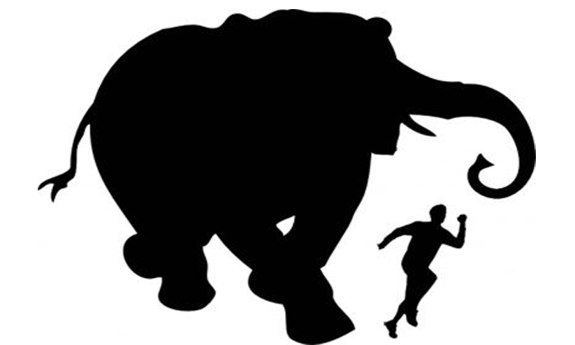 കാട്ടാന ആക്രമണം: സുരക്ഷ നടപടികളുമായി വനംവകുപ്പ്