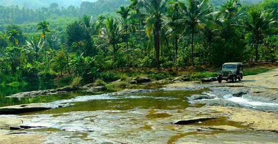 മാങ്കുളം മിച്ചഭൂമി സർവേ ചെയ്യാൻ സംയുക്ത സമിതി രൂപീകരിച്ച് ഉത്തരവ് മാങ്കുളം മിച്ചഭൂമി സർവേ ചെയ്യാൻ സംയുക്ത സമിതി രൂപീകരിച്ച് ഉത്തരവ്
