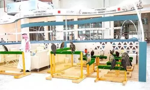 ഫാ​ൽ​ക്ക​ൺ മേ​ള: ര​ണ്ട്​ ഫാ​ൽ​ക്ക​ണു​ക​ളെ ലേ​ല​ത്തി​ൽ വി​റ്റ​ത്​ 71,000 റി​യാ​ലി​ന്