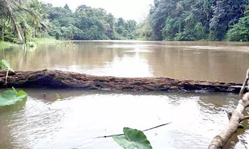 അച്ചൻകോവിൽ ആറ്റിൽ ജലനിരപ്പ് ഉയരുന്നു