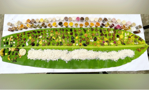 241 വിഭവങ്ങൾ; ​രുചിയുടെ കൊടുമുടി കേറി ക്രൈസ്റ്റ് കോളജ് മെഗാ ഓണസദ്യ