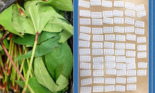 മസ്കത്ത്​ വിമാനത്താവളം വഴി മയക്കുമരുന്ന്​ കടത്താനുള്ള ശ്രമം തടഞ്ഞു