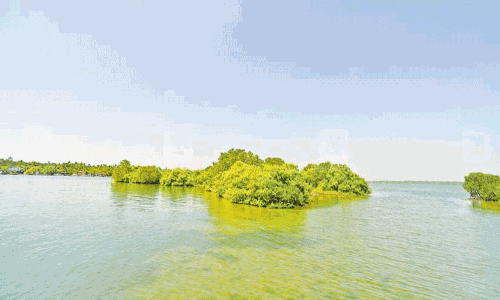 സാമ്പ്രാണിക്കോടി തുരുത്ത് തുറക്കണമെന്ന ആവശ്യം ശക്തം