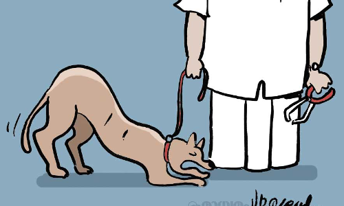 പല്ലു പോയ ഡോഗായുക്ത!