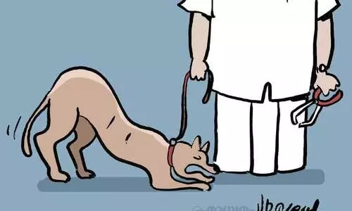 പല്ലു പോയ ഡോഗായുക്ത!