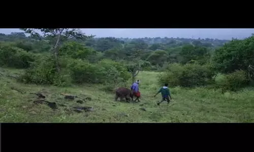 കൂട്ടംപിരിഞ്ഞ കുട്ടിയാനയെ അമ്മയോടൊപ്പം ചേർത്തു