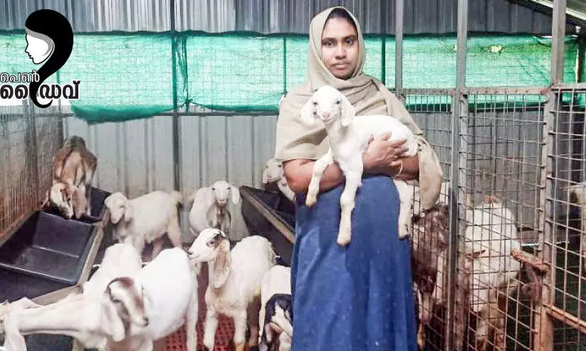 ആടുഫാമിൽ ഉഷാറായി, ആമിനയുടെ ജീവിതം ആടുഫാമിൽ ഉഷാറായി, ആമിനയുടെ ജീവിതം